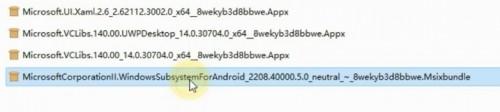 微软WSA安卓子系统公开版2208.40000.5.0 其它 第4张