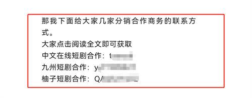 2022短剧分销新玩法 随便写写 第9张