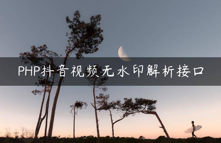 PHP抖音视频无水印解析接口
                     第一张