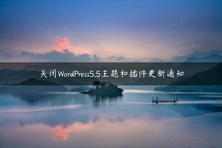 关闭WordPress5.5主题和插件更新通知
                     第一张