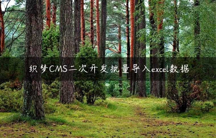 织梦CMS二次开发批量导入excel数据
                     第一张