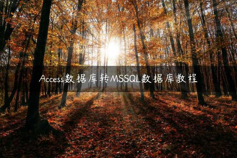 Access数据库转MSSQL数据库教程
                     第一张