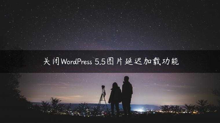 关闭WordPress 5.5图片延迟加载功能
                     第一张