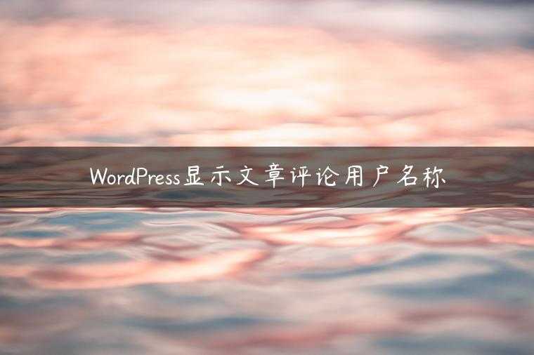 WordPress显示文章评论用户名称
                     第一张