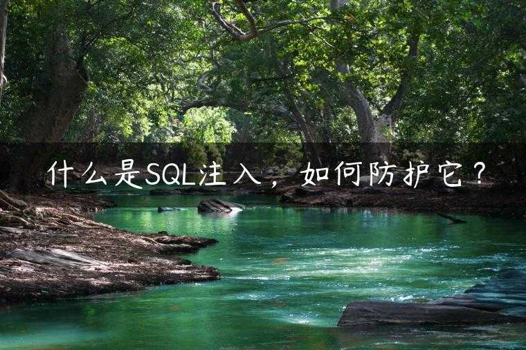 什么是SQL注入，如何防护它？
                     第一张