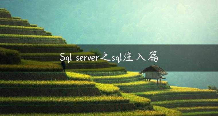 Sql server之sql注入篇
                     第一张