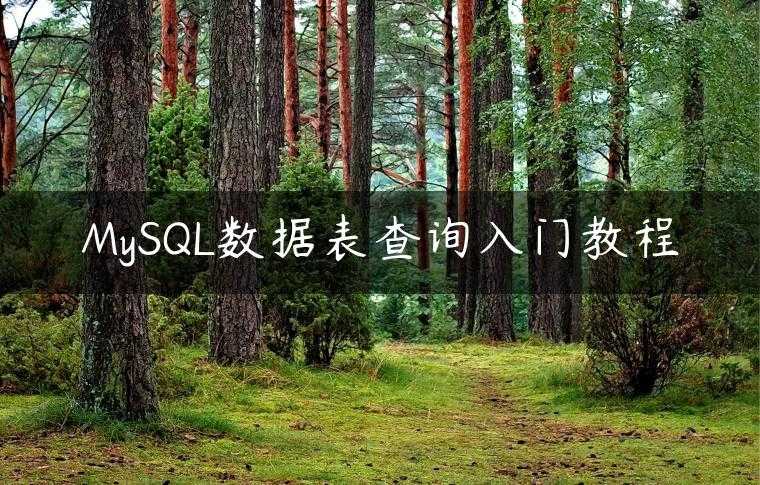 MySQL数据表查询入门教程
                     第一张