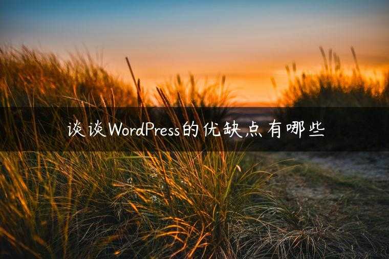 谈谈WordPress的优缺点有哪些
                     第一张