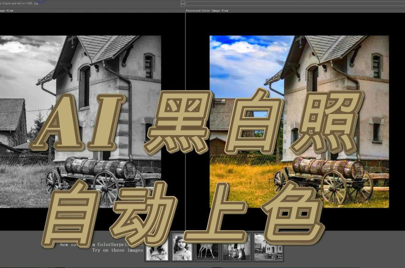 黑白照智能上色绿色Pixbim Color Surprise AI 3.9.0便携版 实用软件 第2张