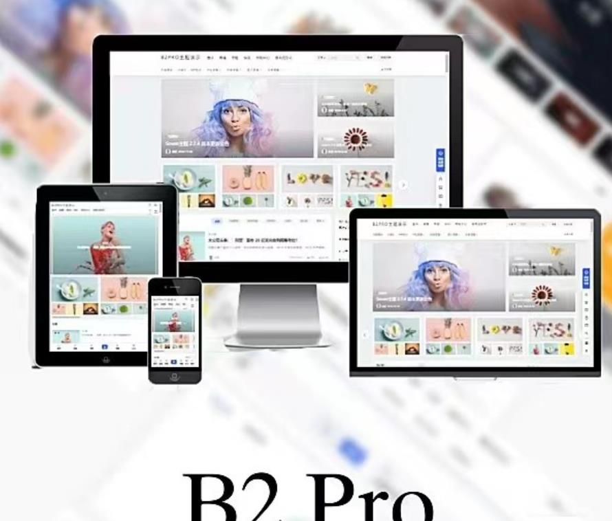 WordPress B2 Pro 主题5.2.0最新开心版,附带官方包体与授权文件 源码相关 第1张