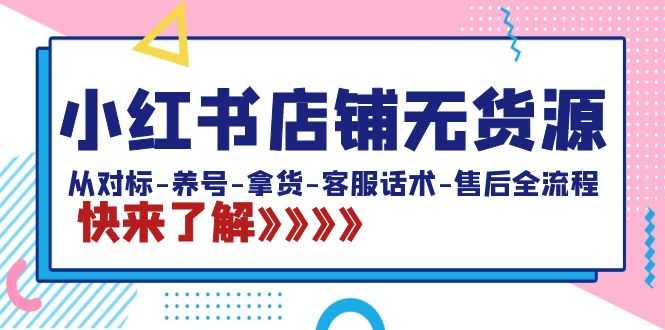 小红书店铺无货源：从对标-养号-拿货-客服话术-售后全流程（20节课） 随便写写 第1张