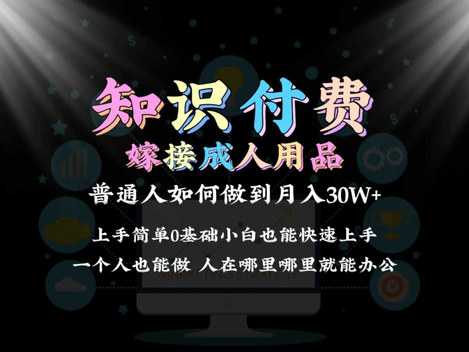 2024普通人做知识付费结合成人用品如何实现单月变现30w 保姆教学1.0 随便写写 第1张