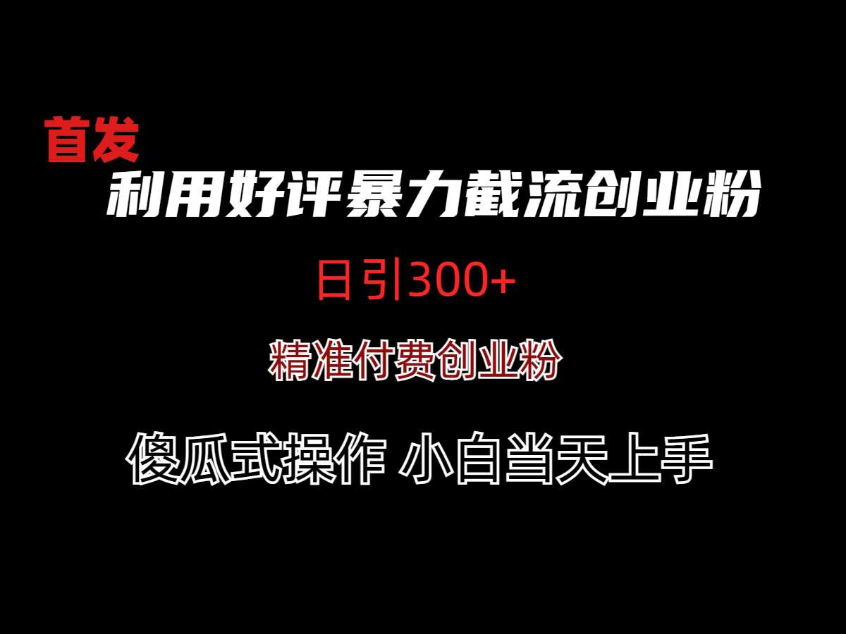 利用好评暴力截流创业粉(日引300+) 随便写写 第1张