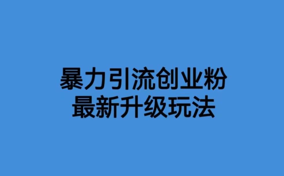 价值1980一千个野路子暴力引流最新升级玩法 随便写写 第1张