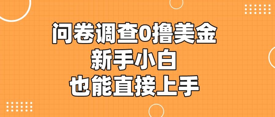 国内可做的国外问卷调查，0撸美金，新手小白也能直接上手