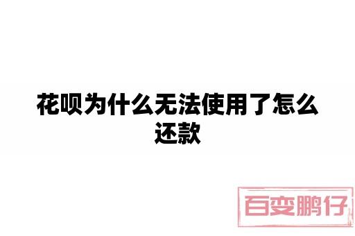 花呗为什么无法使用了怎么还款 随便写写 第1张