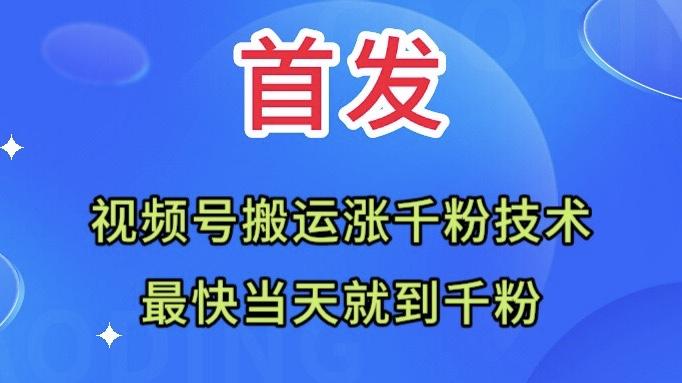 全网首发：视频号无脑搬运涨千粉技术，最快当天到千粉 随便写写 第1张